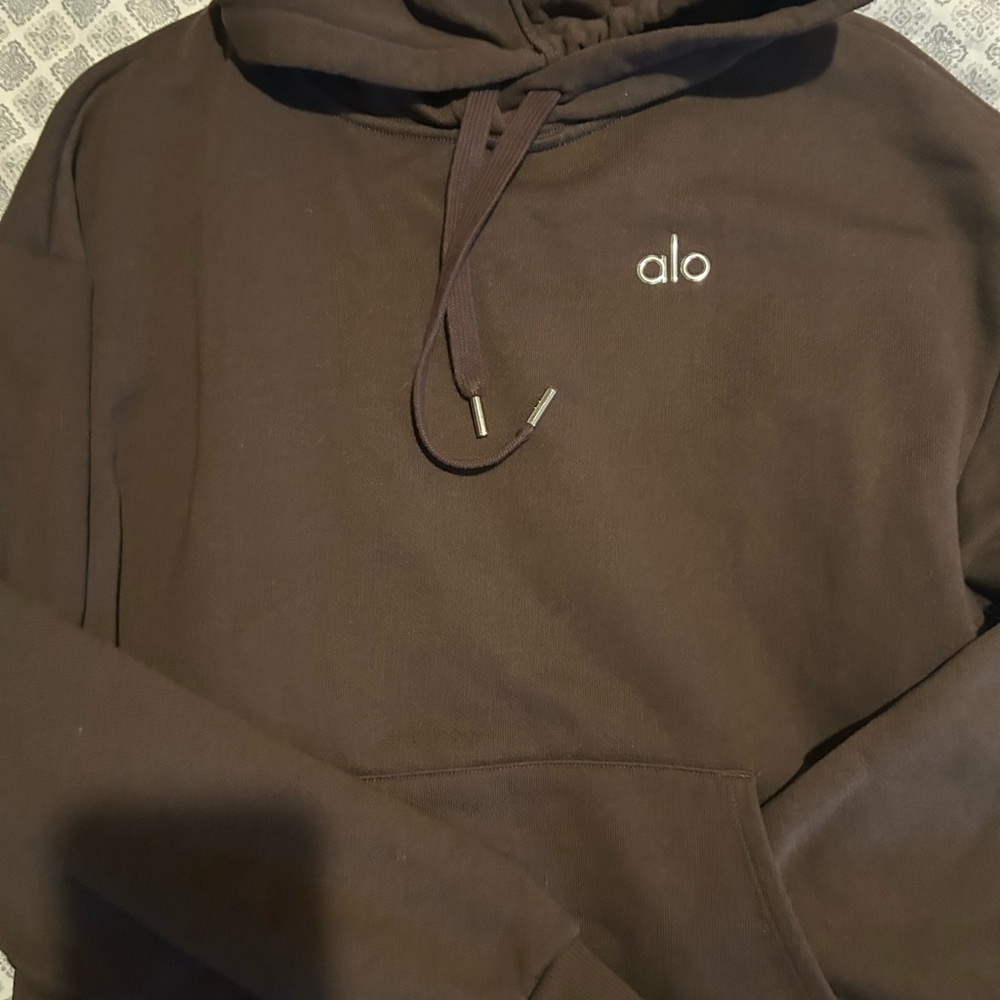 ALO Yoga espresso Hoodie - Picture 4 of 5